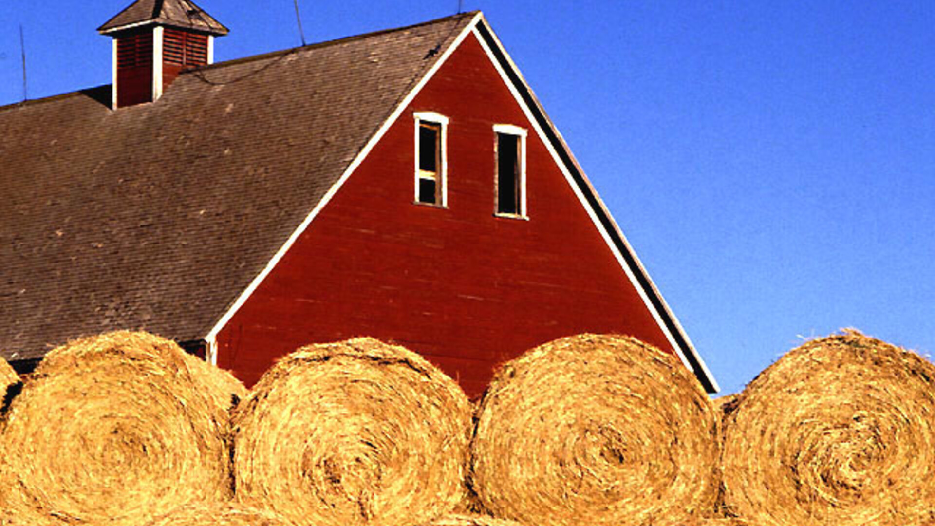 Number of U.S. Farms Declines…Slowly