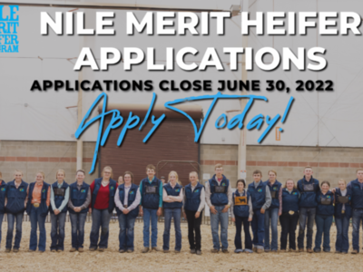 Applications for the 2023 NILE Merit Heifer Program Close Soon
