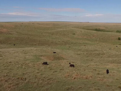 USDA Accepts More than 3.1 Million Acres in Grassland CRP Signup