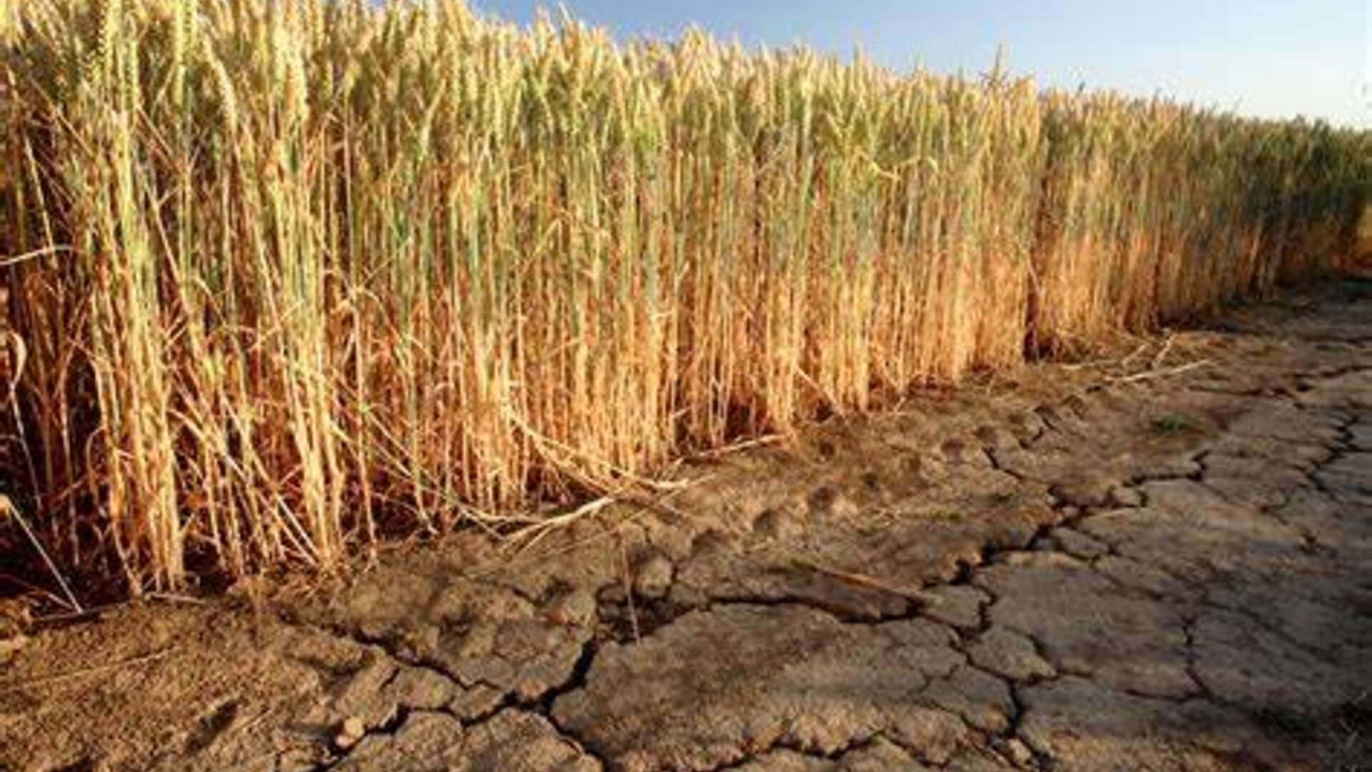 Drought Declaration Lifted Pt 2