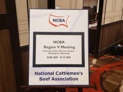 Cattle Producers Meeting in Reno for Summer Business Meeting