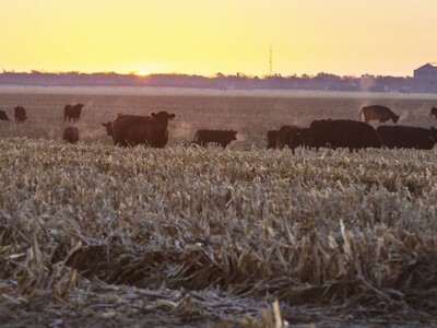 Farm State Senators Look to Crack Down on Foreign Ownership of Ag Land