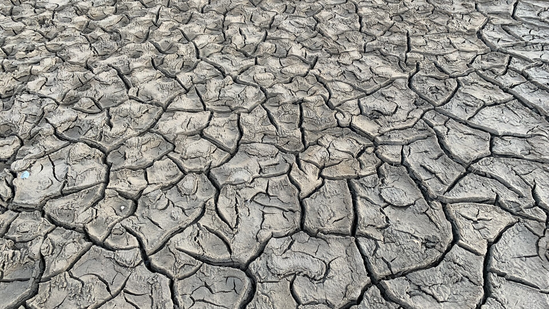 Plan for Next Year’s Crop Resilience Amidst Severe Drought
