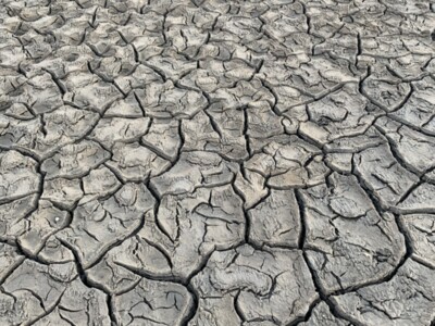 Plan for Next Year’s Crop Resilience Amidst Severe Drought