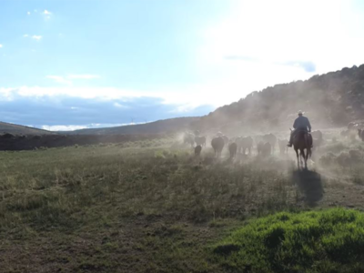 Public Lands Ranching Stewardship Highlighted on the Silver Screen