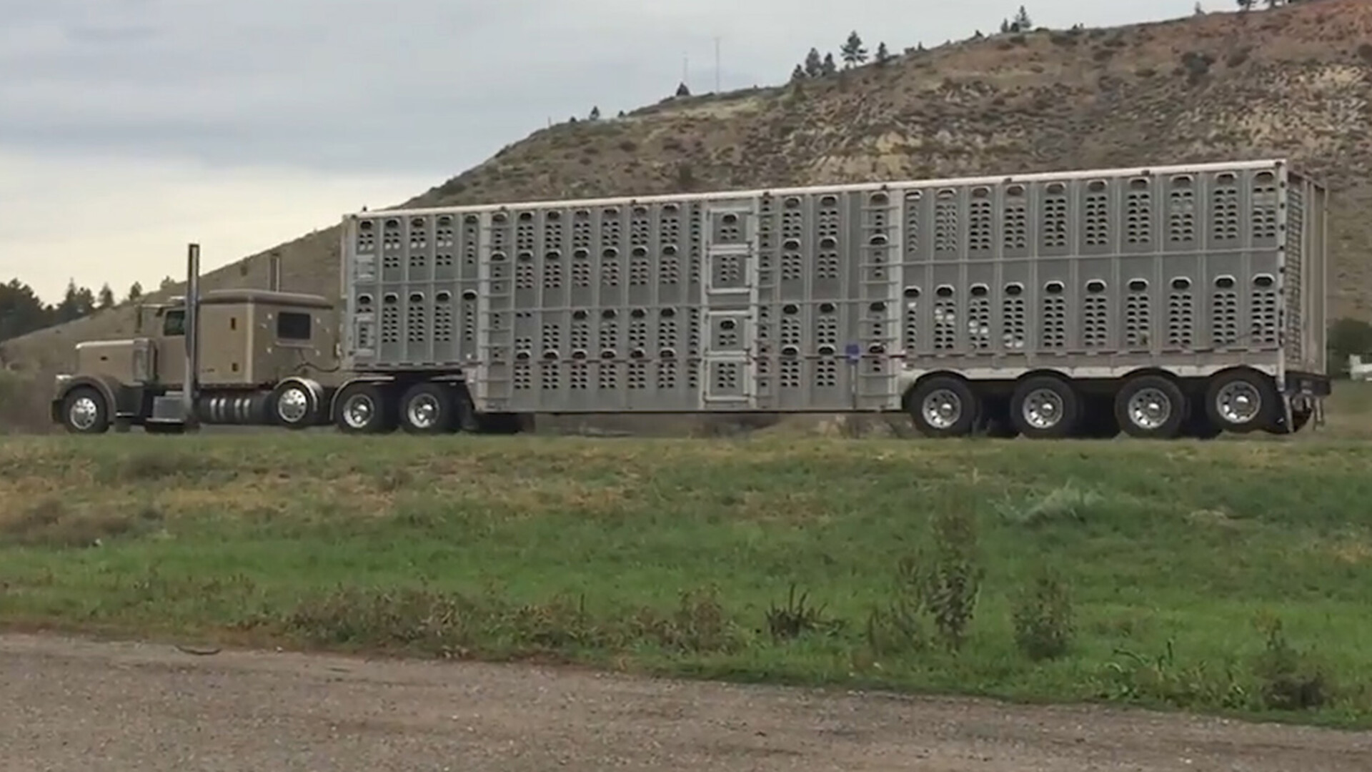 Hours-of-Service Exemption Extension for Livestock Haulers Not Renewed