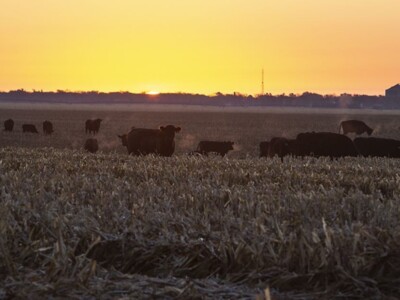 Climate: A Hot Topic in the Next Farm Bill