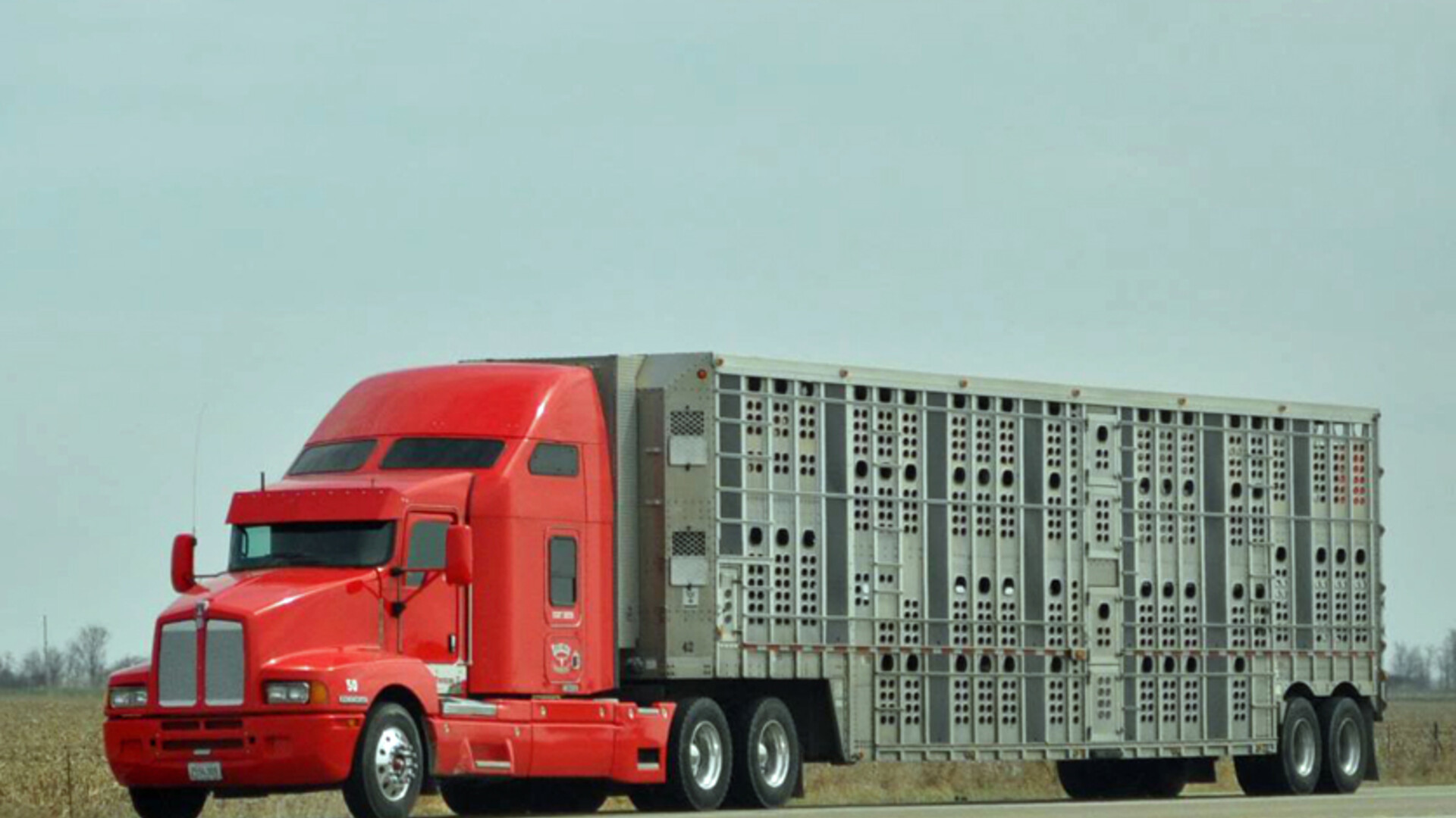 Trucker Time Exemption Pt 2