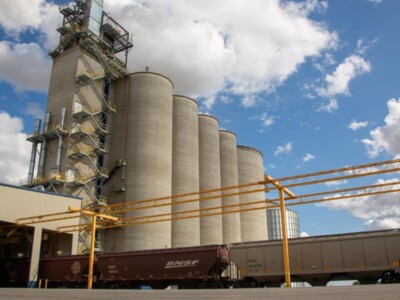 Wheat Industry Rail Shippers Welcome STB Rulings on Rate Disputes