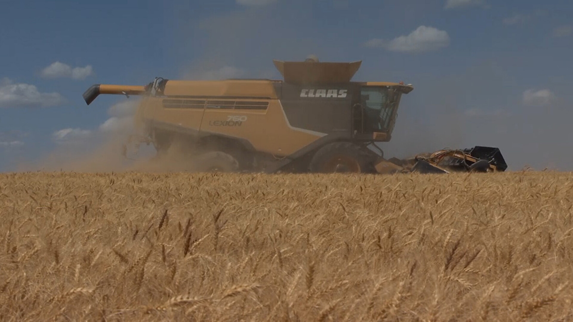 Risk Management Tools Must be a Farm Bill Priority