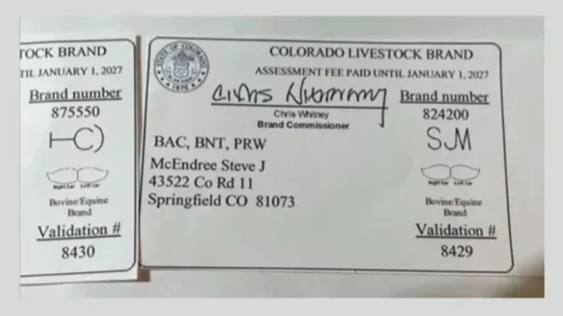 Cattle Rustlers Steal 80 Bred Cows in Baca County, Colorado