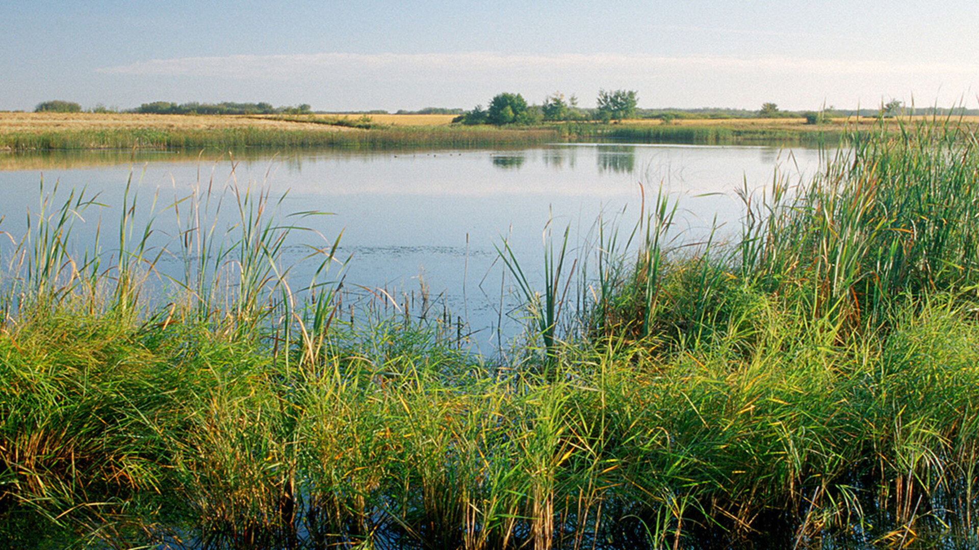 USDA Announces Conservation Stewardship Program