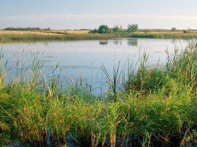 USDA Announces Conservation Stewardship Program