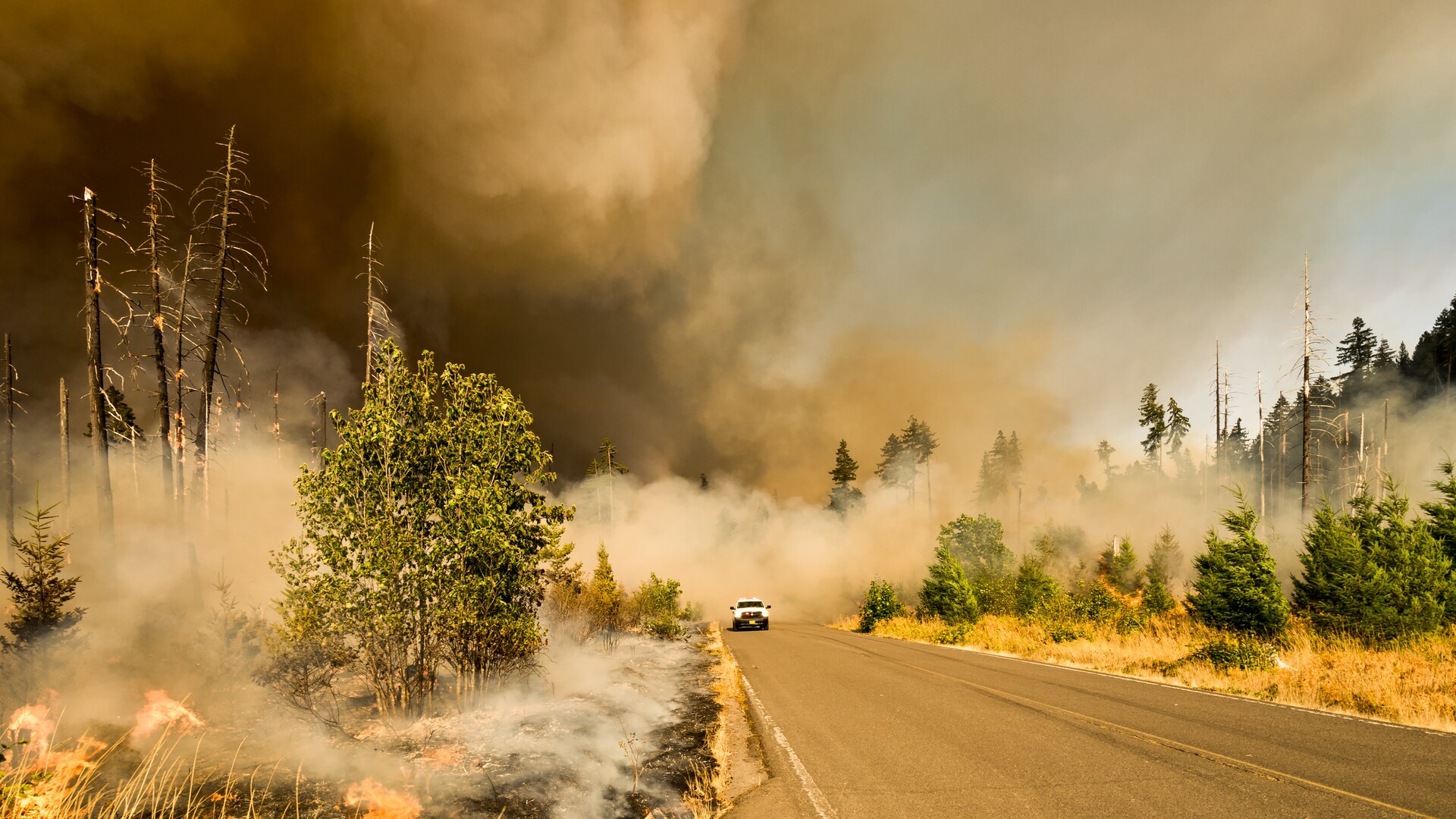 USDA Investing Funds to Reduce Wildfire Risk