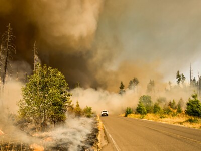 USDA Investing Funds to Reduce Wildfire Risk