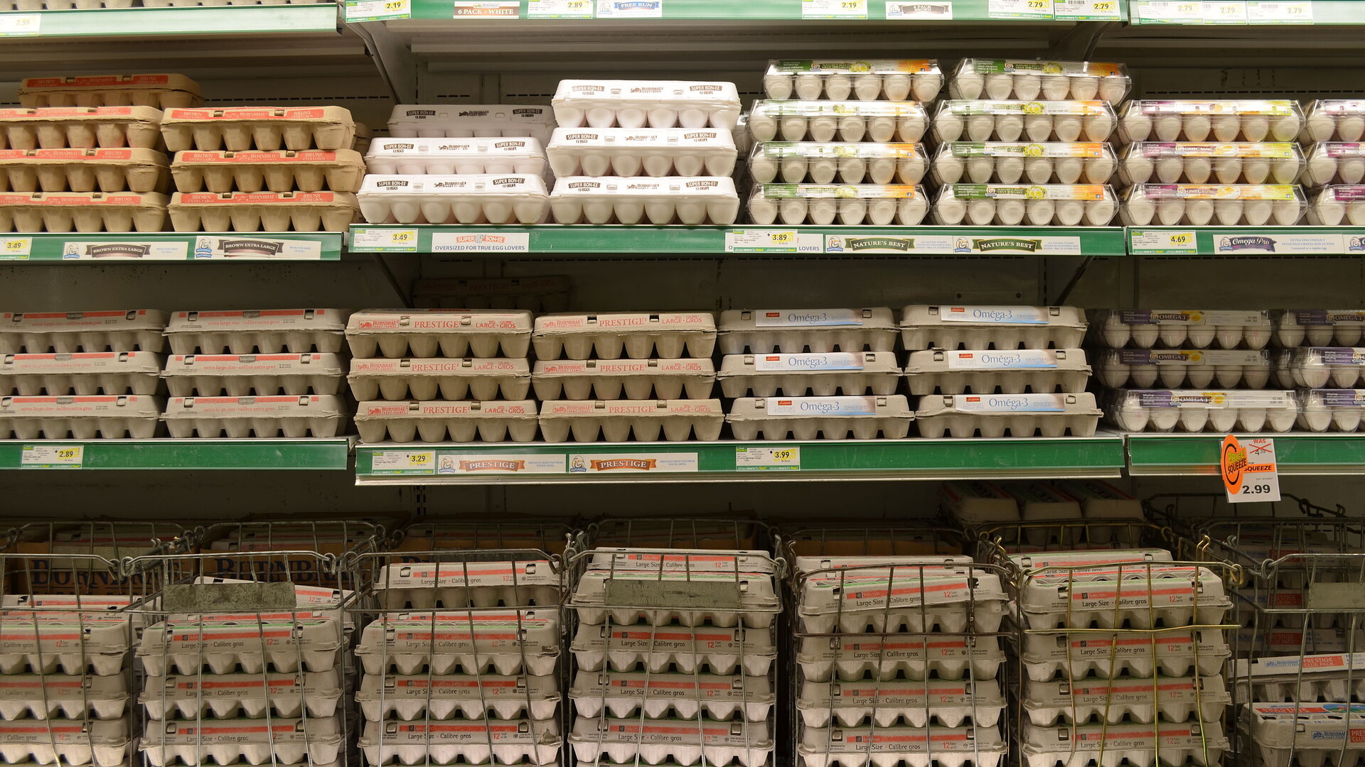 Egg Price Gauging?