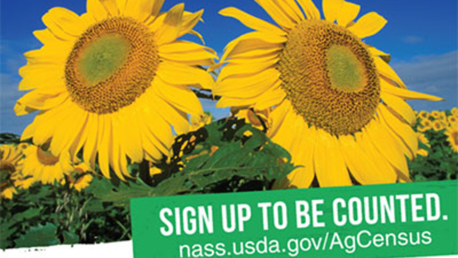 Still time to respond to the 2022 Census of Agriculture