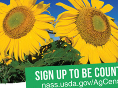 Still time to respond to the 2022 Census of Agriculture