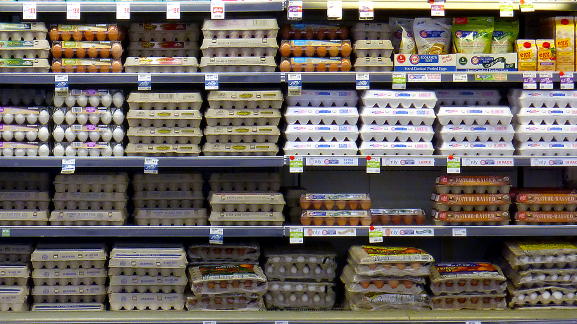 Egg Prices are Projected to Drop 30 Percent This Year