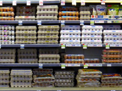 Egg Prices are Projected to Drop 30 Percent This Year