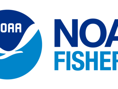 U.S. Marine Fish Stocks Show Improvements in 2022