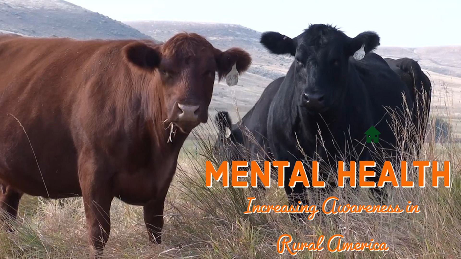 Increasing Mental Health Awareness In Rural America