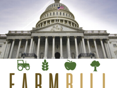 CBO and Farm Bill
