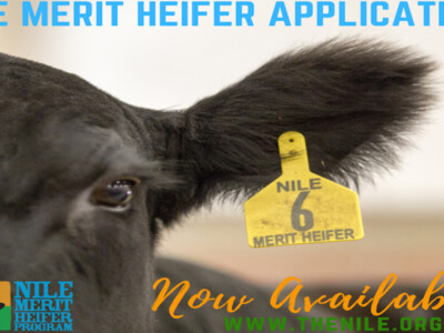 The Legacy Continues with the 2024 NILE Merit Heifer Program