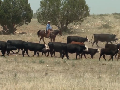 BLM Extends Public Comment on Public Lands Rule