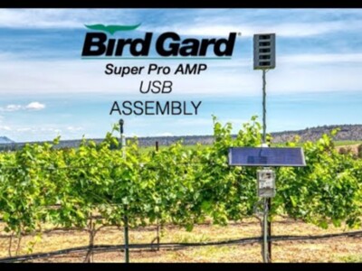 Bird Gard Pt 2