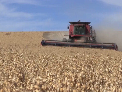 U.S. Pulses Included in Trade Resolution with India