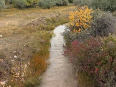 EPA Plans WOTUS Rewrite by September