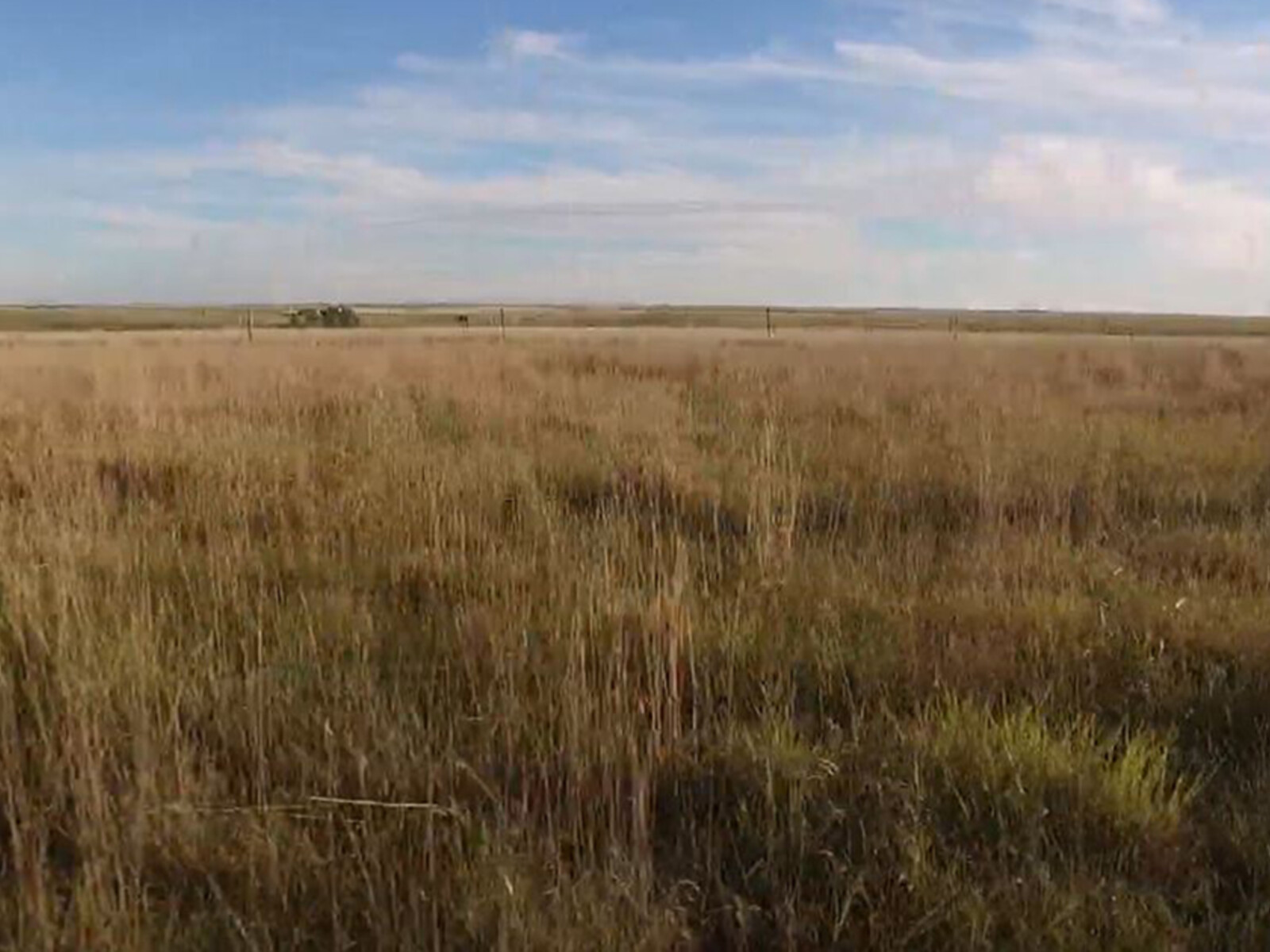 AG INFORMATION NETWORK OF THE WEST