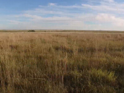 USDA Accepts Almost 2.7 Million Acres in Grassland CRP