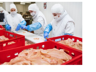 Meat Packing Industry Concentration Being Addressed