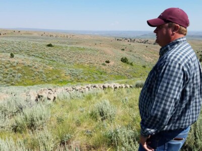 Farm Credit Continues Strong Support for Beginning Farmers and Ranchers