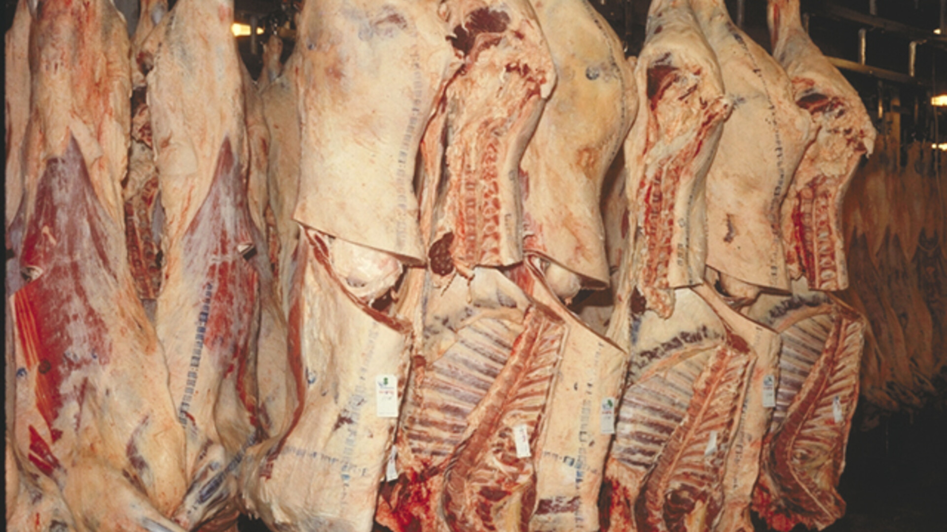 An Exception in Beef Demand