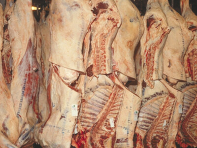 An Exception in Beef Demand