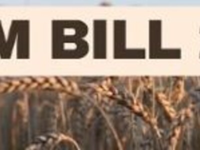 The Next Farm Bill Needs to Be Right for US Ag