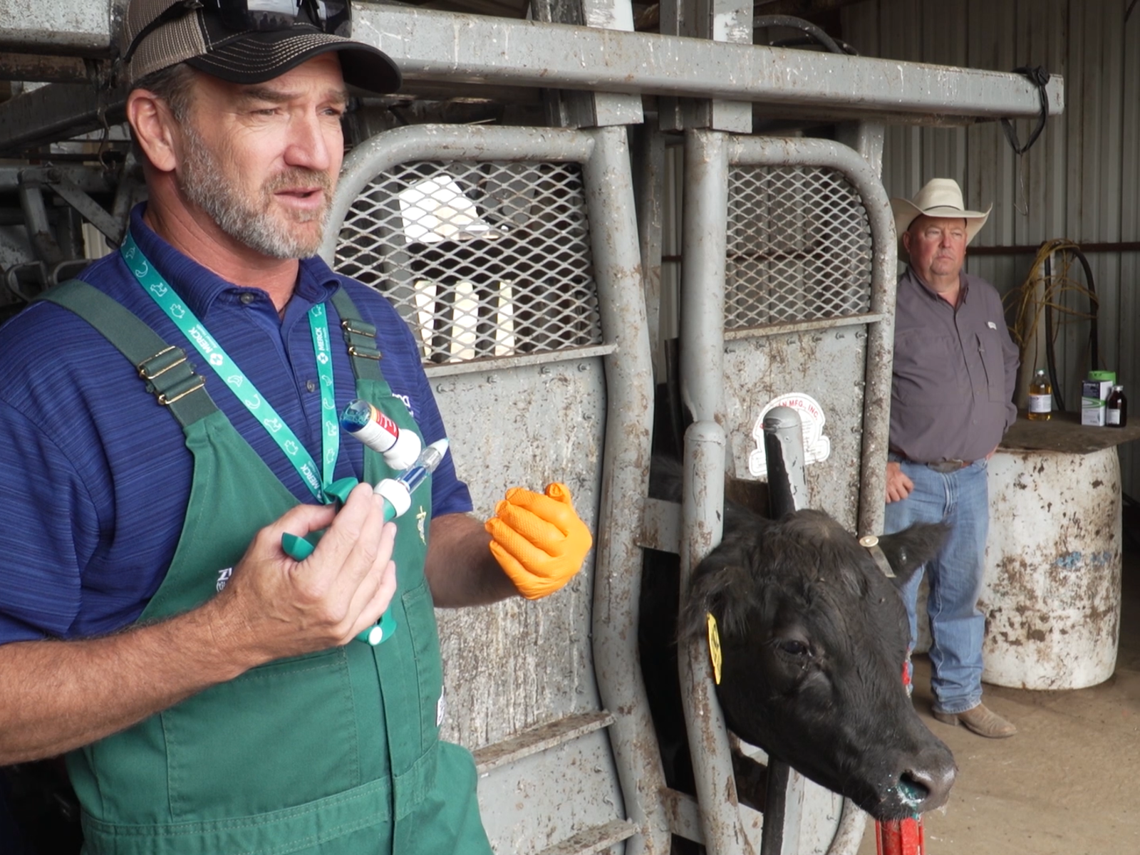New Bill Addresses Rural Veterinary Shortages