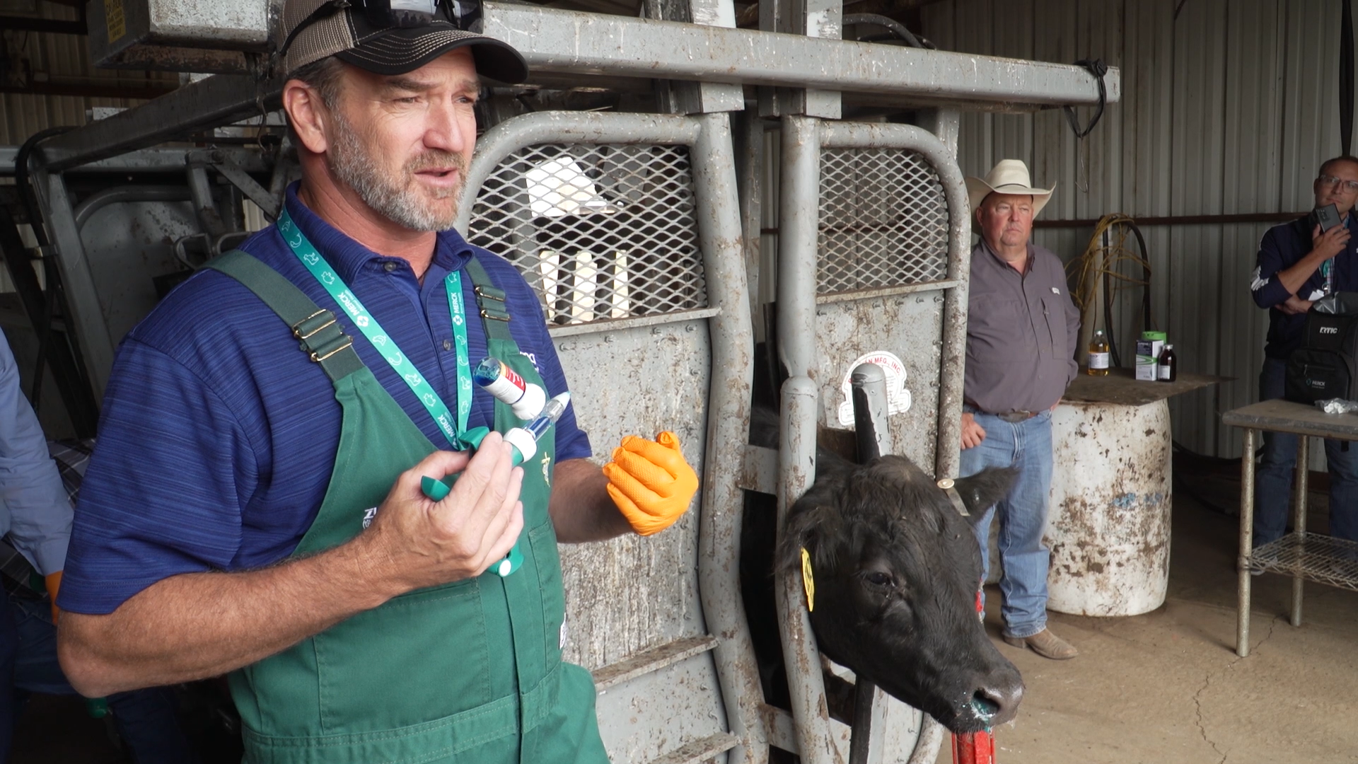 New Bill Addresses Rural Veterinary Shortages
