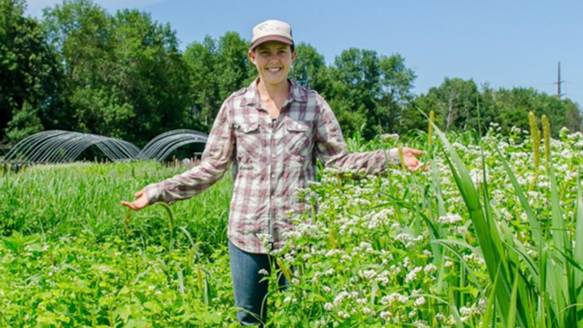 Addressing Cover Crops Over the Winter Months