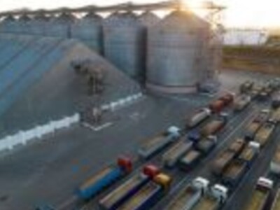 Corn, Kansas City Wheat; Marketing Opportunity Ahead?