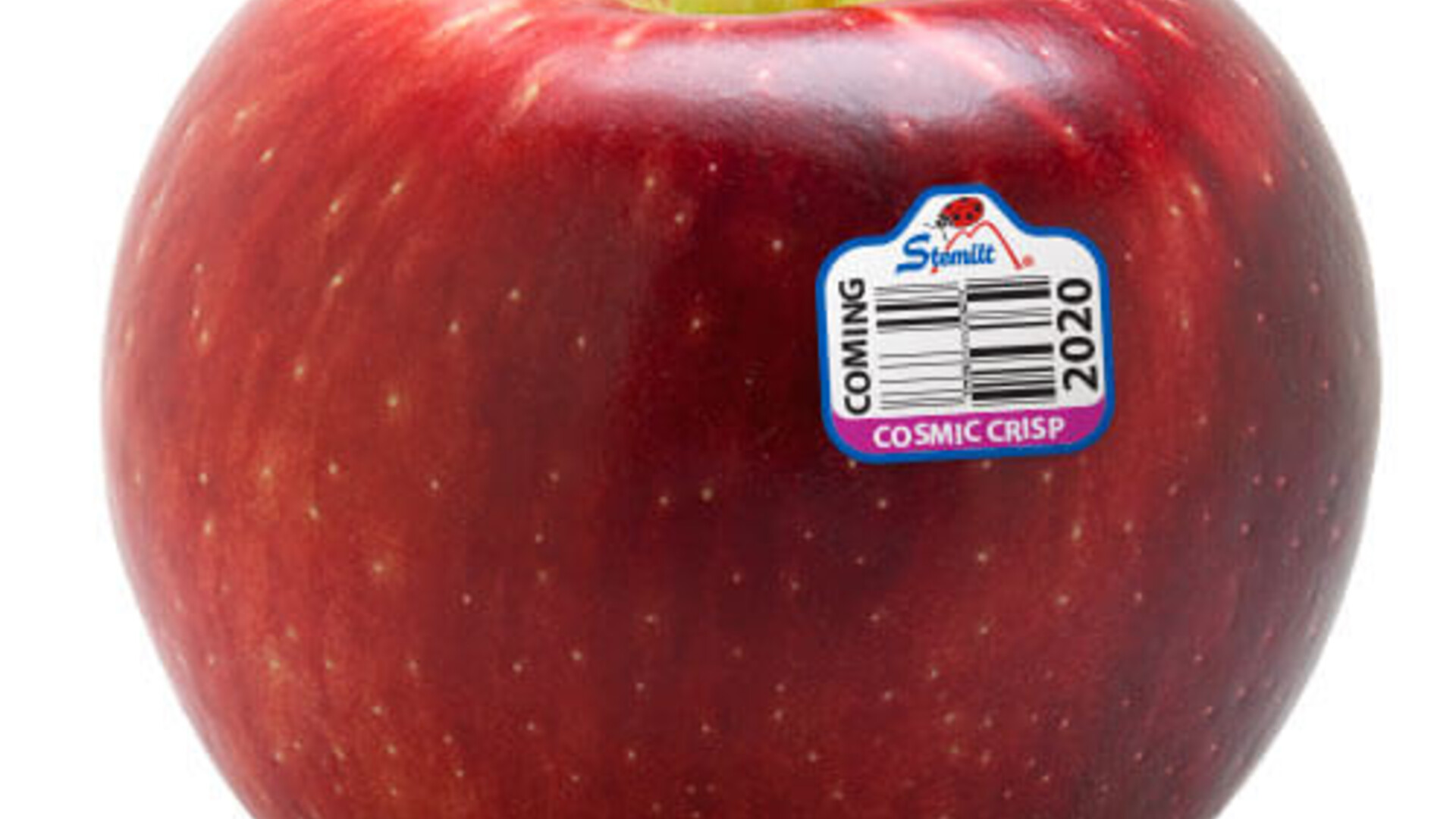 Cosmic Crisp Apples - Organic Cosmic Crisp Apples - Washington Fruit