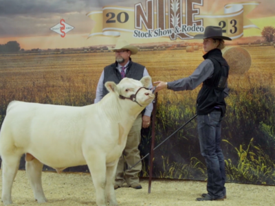 Youth a Top Priority at NILE Stock Show