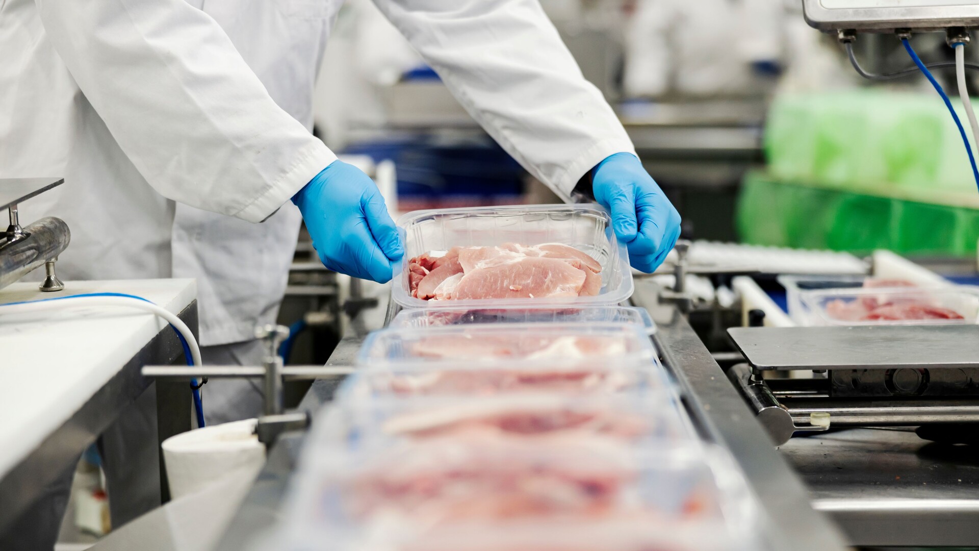 Grant Funding for Small Meat Processors