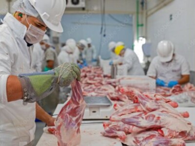 New US Meat Processing Plants Approved for Export to China