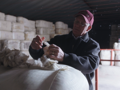 China to Dictate 2024 Wool Market