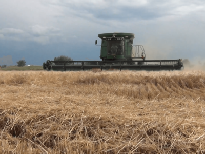 U.S. Barley Farmers Concerned with Freight Train Disruptions at Southern Border
