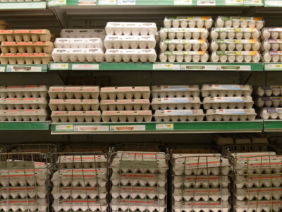 November Egg Production Up Four Percent